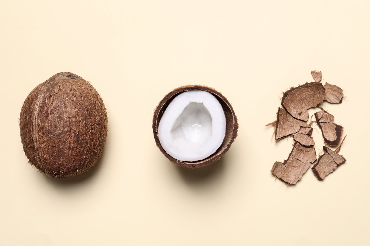 Amazing coconuts