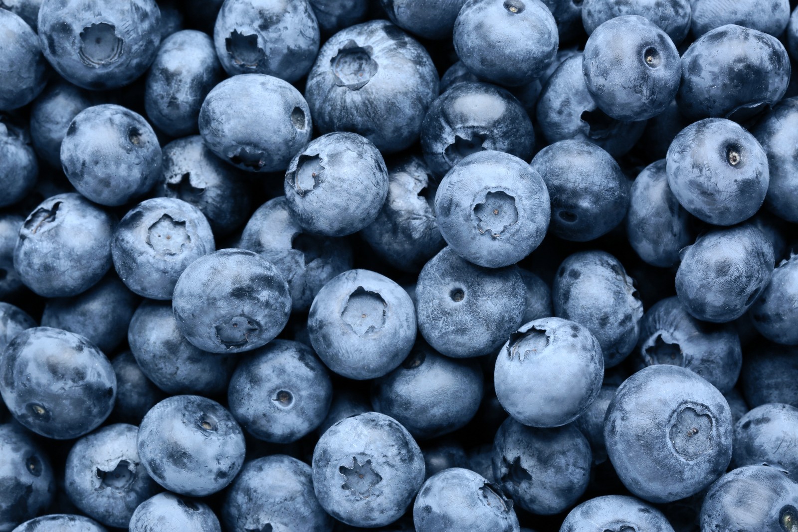 Photo of tasty fresh ripe blueberries as background, top view