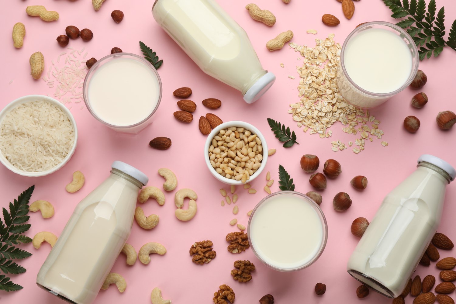 This milk is nuts: all you wanted to know about non-dairy milk