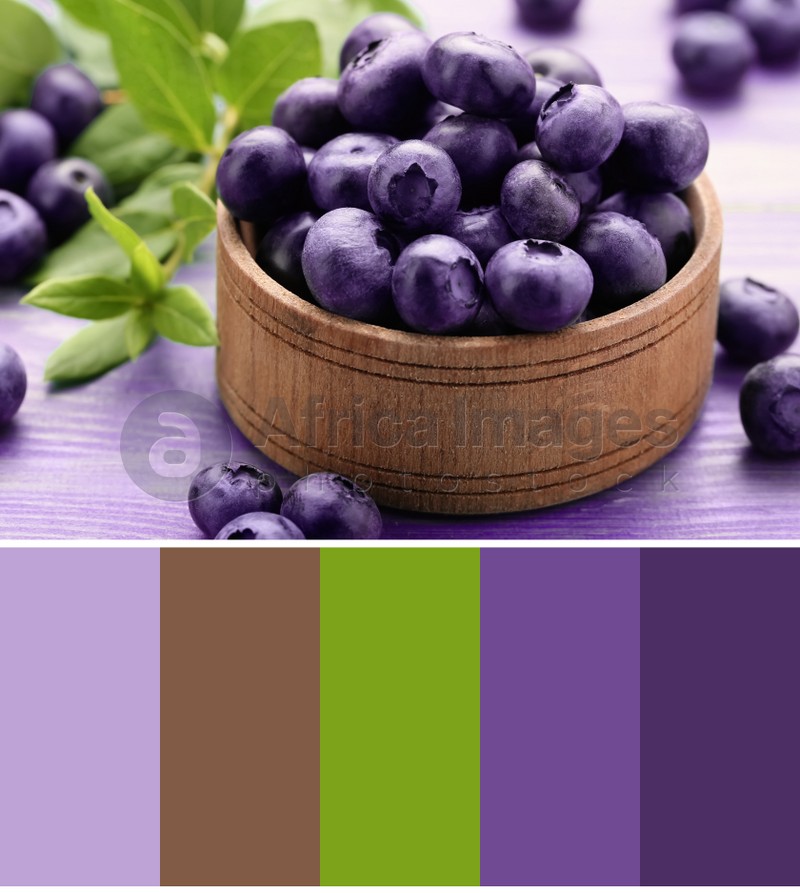 Color palette appropriate to photo of tasty fresh blueberries on wooden table, closeup