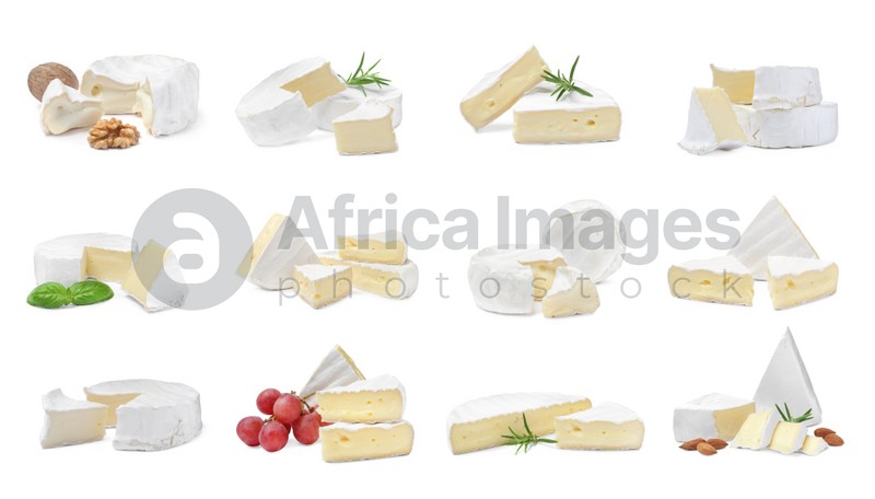 Set with tasty brie cheese on white background 