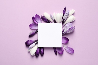 Beautiful spring crocus flowers and card on color background, flat lay. Space for text