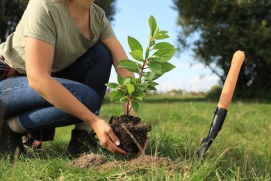 Photo of Woman planting young green tree in garden, closeup
