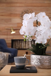 Beautiful white orchids and cup of tea on wooden table in living room. Interior design