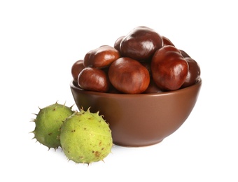 Photo of Horse chestnuts in bowl on white background