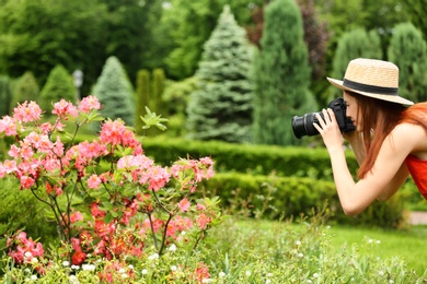 Photo of Photographer taking photo of blossoming bush with professional camera in park