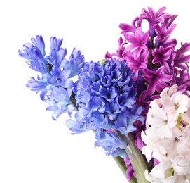 Photo of Bouquet of beautiful hyacinth flowers on white background. Springtime