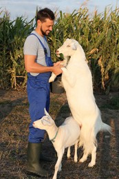 Photo of Man with goats at farm. Animal husbandry