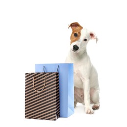 Cute Jack Russel Terrier and colorful paper shopping bags on white background