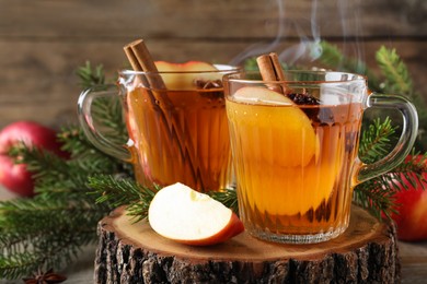 Hot mulled cider, ingredients and fir branches on wooden table