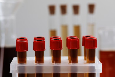 Photo of Test tubes with brown liquid in stand, closeup