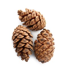 Beautiful pine cones on white background, top view