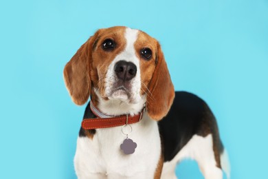 Photo of Adorable Beagle dog in stylish collar on light blue background