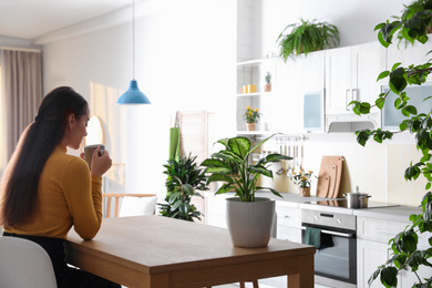 Woman with drink at table in kitchen decorated with plants. Home design