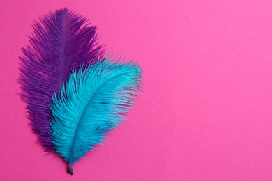 Beautiful violet and light blue feathers on pink background, top view. Space for text