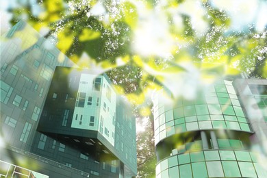 Go green concept. Low angle view of modern building and tree on sunny day