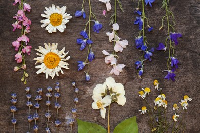 Beautiful dried flowers on wooden table, flat lay