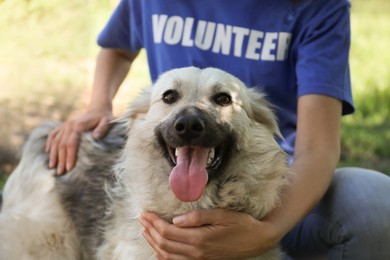 Volunteer with homeless dog in animal shelter, closeup