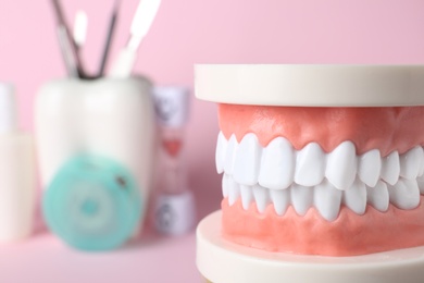 Educational model of oral cavity with teeth on blurred background, closeup. Space for text