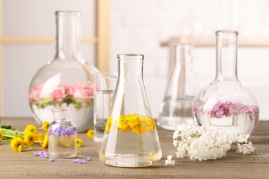 Laboratory glassware with flowers on wooden table. Extracting essential oil for perfumery and cosmetics