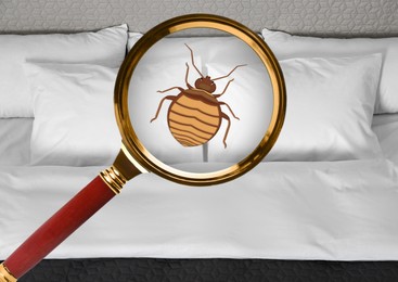 Image of Magnifying glass detecting bed bug in bedroom, closeup view