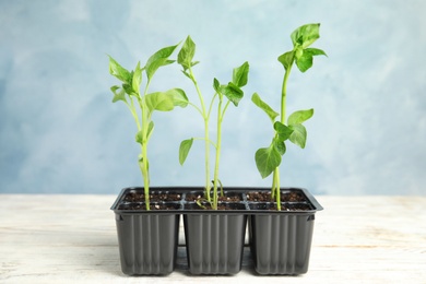 Photo of Vegetable seedlings in plastic tray on wooden table against blue background