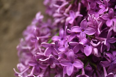 Beautiful lilac flowers on blurred background, closeup