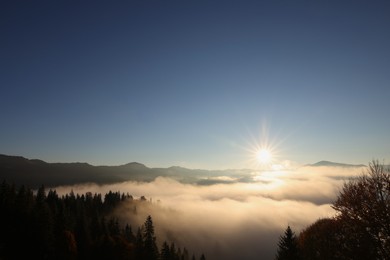 Aerial view of beautiful mountain landscape with forest and thick mist at sunrise