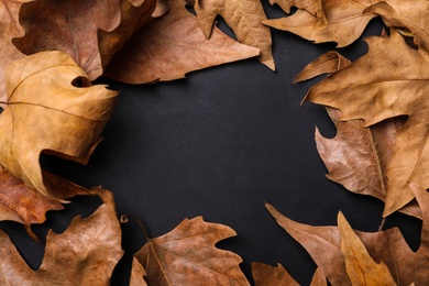 Frame of dry autumn leaves on black background, flat lay. Space for text