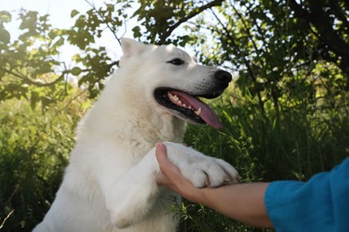 Young woman with her white Swiss Shepherd dog in park, closeup