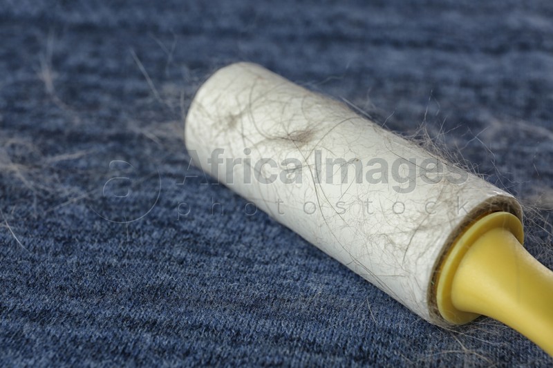 Photo of Lint roller on blue fabric covered with hair, closeup