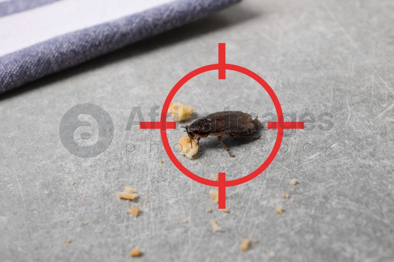 Cockroach with red target symbol on grey table. Pest control