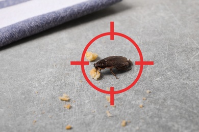 Cockroach with red target symbol on grey table. Pest control
