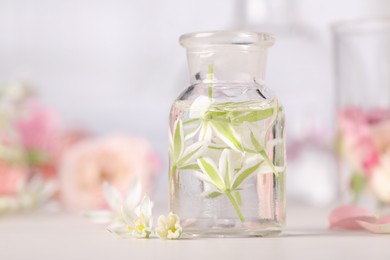 Apothecary bottle with ornithogalum flowers on white table. Essential oil extraction
