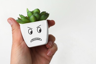Closeup view of woman holding potted plant with angry face on white background, space for text. Emotional management