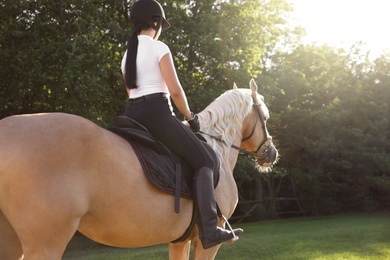 Young woman in equestrian suit riding horse outdoors on sunny day, back view. Beautiful pet