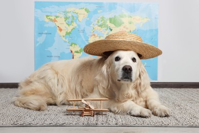 Cute golden retriever in straw hat near toy airplane on floor against world map indoors. Travelling with pet