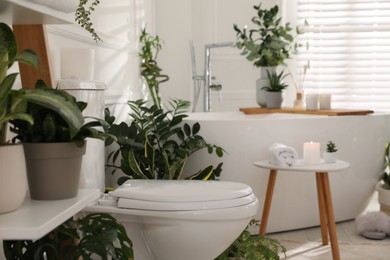 Photo of Stylish white bathroom interior with toilet bowl and green houseplants