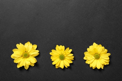 Photo of Yellow flowers on black background, flat lay. Space for text
