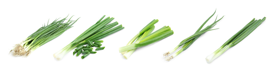 Collage with green spring onions on white background. Banner design 