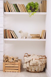 Collection of books and decor elements on shelves indoors. Interior design