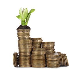 Stacks of coins with flower isolated on white. Investment concept