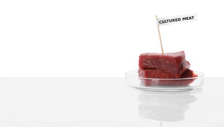 Petri dish with pieces of raw cultured meat and toothpick label on white background