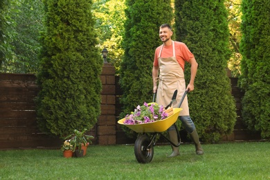 Happy man with wheelbarrow working in garden