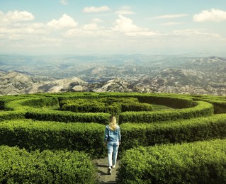 Image of Young woman in hedge maze on sunny day, back view