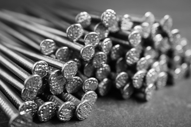 Many metal nails on grey background, closeup