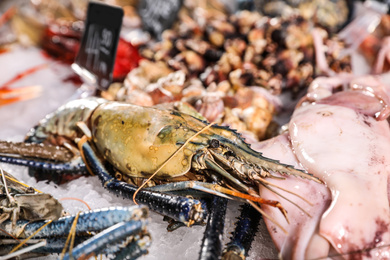 Photo of Malaysian freshwater prawn and other seafood on ice. Wholesale market