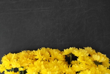 Beautiful yellow flowers on blackboard, flat lay with space for text. Happy Teacher's Day