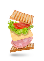 Delicious sandwich with toasted bread on white background
