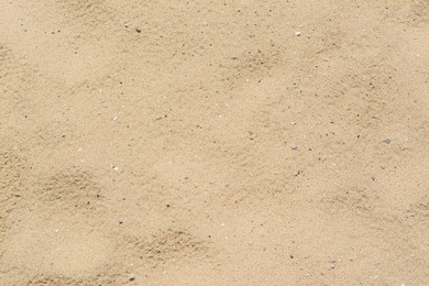 Texture of sandy beach as background, above view
